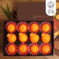 [1/8일(수)순차출고][SSG상품권증정이벤트]나주배 2.7kg 5과 실속세트