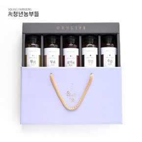 청년농부들 올바른 발효식초 5종 선물세트 350ml x 5 (황기,오미자,...