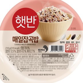 햇반 매일 잡곡밥 210g 36개 코스트코