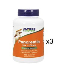 나우푸드 판크레아틴 Pancreatin 10X 250ctx3병 2946