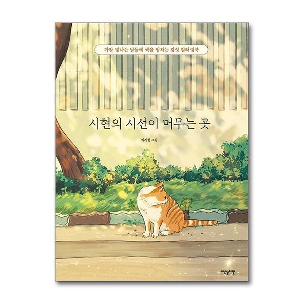 확대된 대표 1
