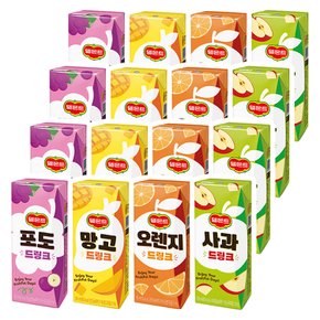 드링크팩 4가지맛 (사과 망고 오렌지 포도) 190mL x 16개