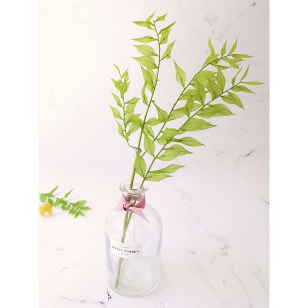 프리저브드 플라워_Ruscus_루스커스 (컬러2종)