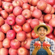  포미식탁 경북 못난이 가정용 부사사과 9kg 간식