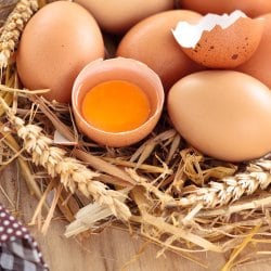 유정란 40구 / L (개당52~60g) (난각번호 2번) 무항생제 계란 달걀