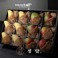 [1/13(월)순차출고][SSG정담]친환경포장 대과 혼합 과일선물세트 (애플망고/태국망고 - 4kg) / 실크보자기 포장+노리개 증정