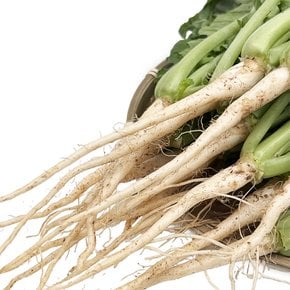 국내산 부드러운어린열무 아기열무 열무 열무김치 조선열무 특품 4kg