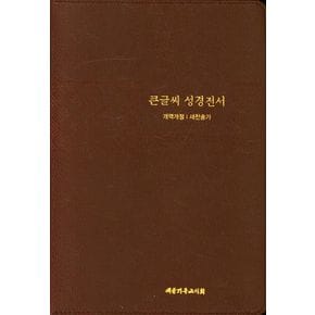 큰글씨 성경전서(개역개정/새찬송가/NKR83TU/특대/다크브라운)