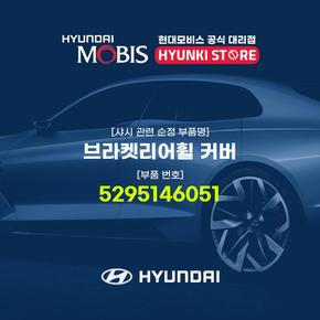 브라켓리어휠 커버 (5295146051)