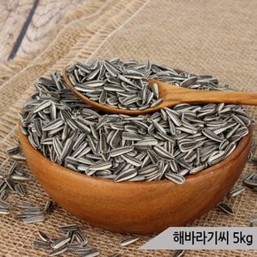 건강알곡 해바라기씨 5kg 앵무새 햄스터 간식 사료