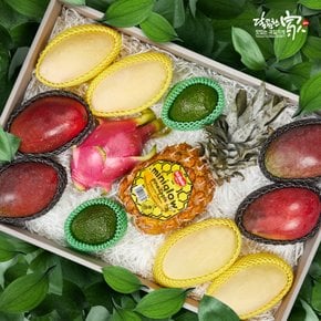 [9/21(월) 오전 9시결제건까지 명절전배송]수입과일 혼합선물세트2호 5.3kg내외(골드망고4+애플망고4+아보카도2+용과1+파인애플1)