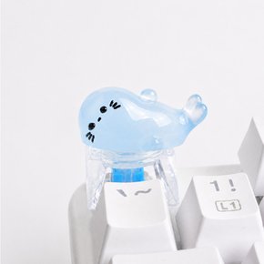 키캡 야광 아기물범 엎드림 포인트 커스텀 기계식 키보드 꾸미기 키캡놀이 클릭커 DIY