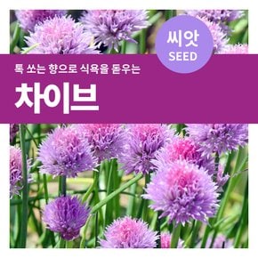 차이브 허브 씨앗 400립(1g)