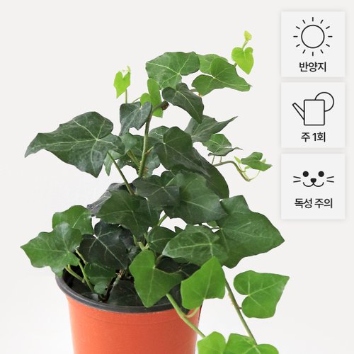 상품이미지3