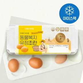 난각 2번 동물복지 제주품은 초란 40구