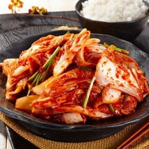 100 국산 겉절이 김치 3kg 국산 김치 주문 맛있는 배추 김치 3키로 배추 겉절이 김치 겉절이 썰은김치