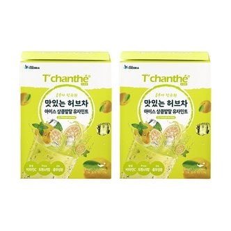  티샹떼 54 맛있는 허브차 아이스 상큼발랄 유자민트 삼각망 20티백 2개세트
