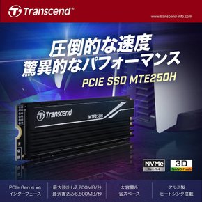 2TB SSD M.2(2280) NVMe PCIe [PS5 7X100MBs] TS2TMTE250H-E[Amazon.co.jp 트랜센드 Gen4×4