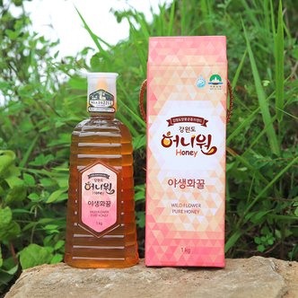 강원6차산업 [영월 강원허니원영농조합]100% 자연채밀 야생화 벌꿀(1kg)