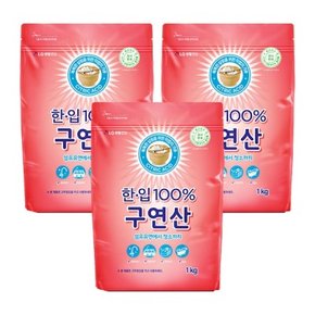 한입 100프로 구연산, 1kg, 3개