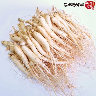 대명이네 인삼농장 (세척) 소 삼계삼 50-60뿌리내외 750g/인삼 수삼 주스용 튀김용 삼계탕용