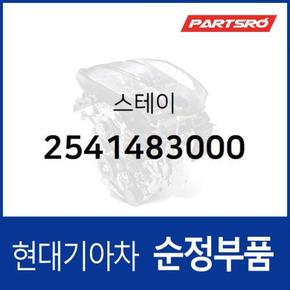 스테이 (2541483000)  8톤 트럭, 뉴 파워트럭 4X2, 11톤 트럭, 뉴 파워트럭 6X4, 23톤 트럭, 트라고 6X4, 에어로 스페이스, 유니버스 스페이스, 뉴 슈퍼 에어로 시티, 유니버스 익스프레스, 슈퍼 에어로 시티 특장, 그랜버드 08EM: JAN.2010-, 뉴