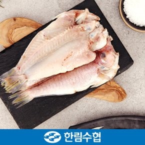 [제주 한림수협] 제주직송 제주 특大 옥돔 3마리 세트 (옥돔 480g x 3팩)