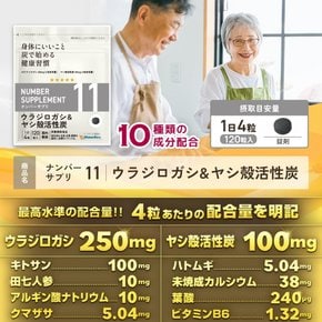 넘버 사프리 11 블라디로가시 250mg 야자 껍질 활성탄 100mg(4알당) [10성분 배합성분량 명기]