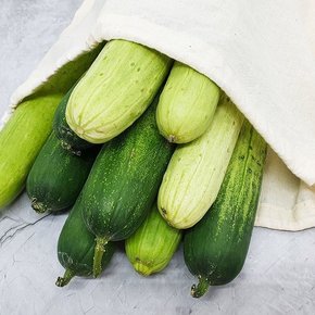 백다다기 오이 특품 5kg