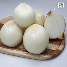 모들채소 국내산 햇 깐양파 1kg 1팩