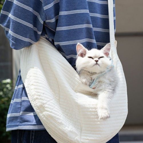 이미지1