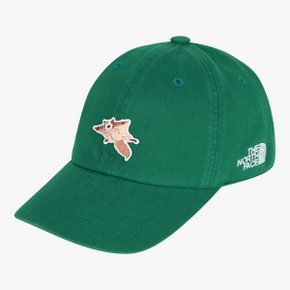 [노스페이스 키즈 공식] 키즈 로고 볼캡 와펜 NE3CS00T_GEB