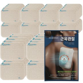 생활 운동 전문 패치 파스 60매외 3종 국내제조 바이오 쿨 히트 오운완