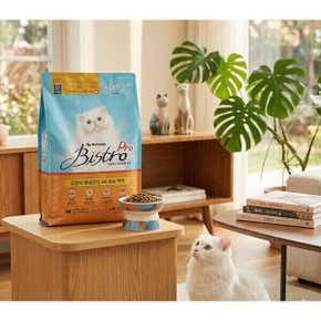 비스트로 고양이사료6kg / 코스트코반려동물