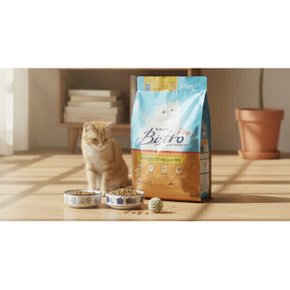 비스트로 고양이사료6kg / 코스트코반려동물