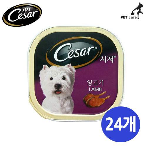 이미지1