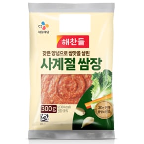 CJ 해찬들 사계절쌈장 300g (봉)