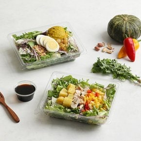 [당일제조] 한스푼 토핑샐러드 8종 골라담기 다이어트식단 / 식단관리 도시락
