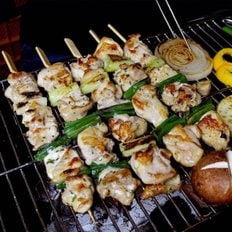  고우하 숯불왕꼬치 500g 5꼬치 파닭꼬치 왕닭꼬치