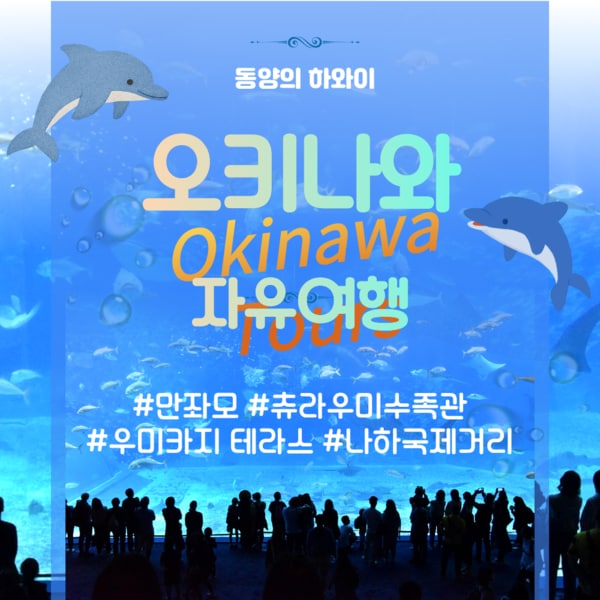 확대된 대표 상품이미지1