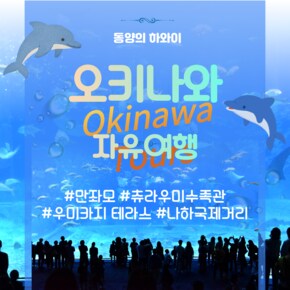 오키나와 2박 3일 낭만가득 자유여행 황금나무와 여행친구들