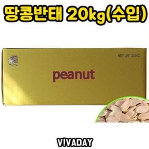 견과류 DHD 땅콩 반태 20kg 술안주 수입