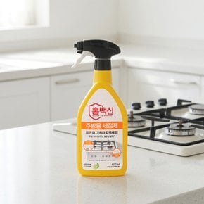 홈백신 세정제 주방용 600ml X2개 주방청소 세제 곰팡이 제거