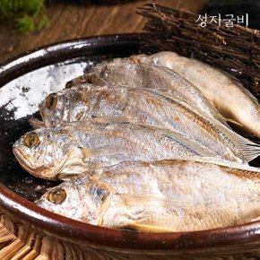 [성지굴비]영광법성포 진공포장굴비 2팩 40미(1.6kg 내외, 15-17cm내외) 찌개,튀김용