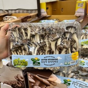 트레이더스 무농약 참타리버섯 700g