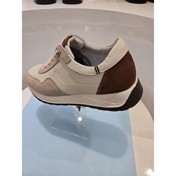 [시흥점] 남성 캐주얼 키높이 스니커커즈 (FMM324)