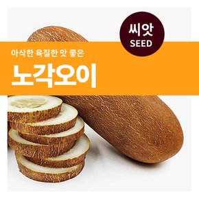 노각 오이 열매 씨앗 50립