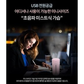 이앤 휴대용가습기 차량용 공부방 침실 미니가습기 EN-003 무드등기능