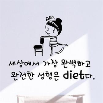 아트박스 /낭만창고 idc322-완전한 성형은 diet