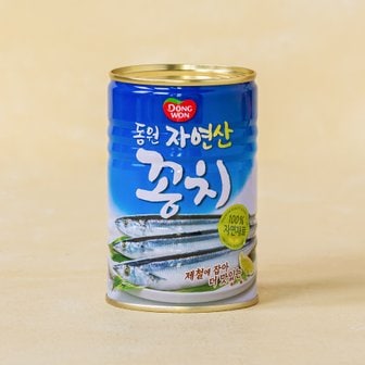 동원 자연산꽁치 300g